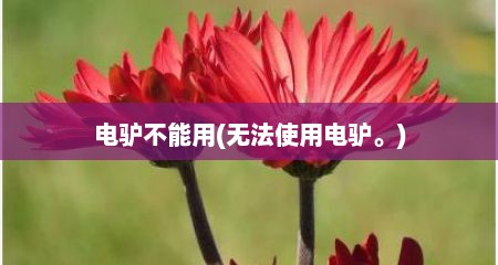 电驴不能用(无法使用电驴。)