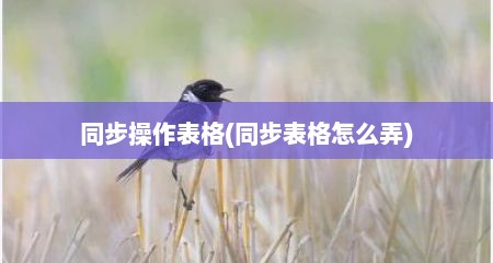 同步操作表格(同步表格怎么弄)