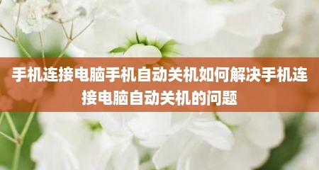 手机连接电脑手机自动关机如何解决手机连接电脑自动关机的问题