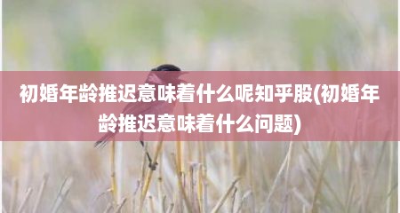 初婚年龄推迟意味着什么呢知乎股(初婚年龄推迟意味着什么问题)