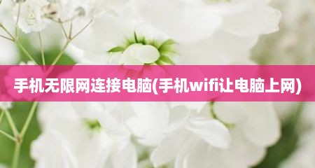 手机无限网连接电脑(手机wifi让电脑上网)