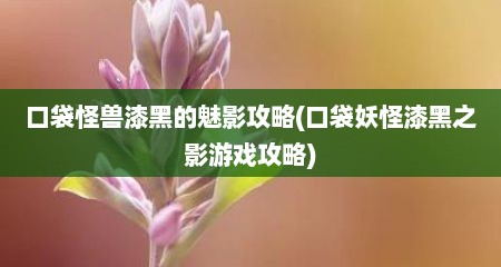 口袋怪兽漆黑的魅影攻略(口袋妖怪漆黑之影游戏攻略)