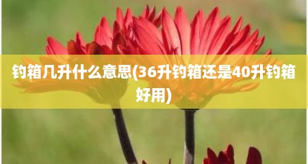 钓箱几升什么意思(36升钓箱还是40升钓箱好用)