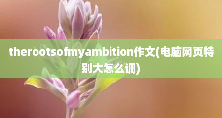 therootsofmyambition作文(电脑网页特别大怎么调)