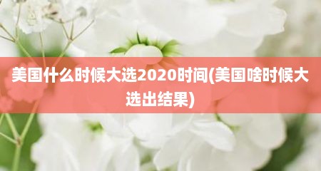 美国什么时候大选2020时间(美国啥时候大选出结果)