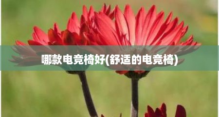 哪款电竞椅好(舒适的电竞椅)