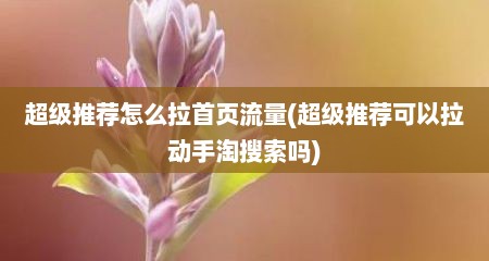 超级推荐怎么拉首页流量(超级推荐可以拉动手淘搜索吗)