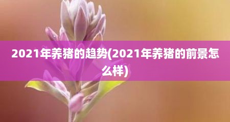 2021年养猪的趋势(2021年养猪的前景怎么样)