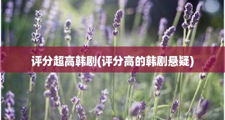 评分超高韩剧(评分高的韩剧悬疑)