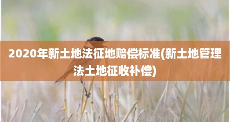 2020年新土地法征地赔偿标准(新土地管理法土地征收补偿)