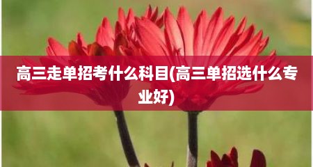 高三走单招考什么科目(高三单招选什么专业好)