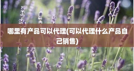 哪里有产品可以代理(可以代理什么产品自己销售)