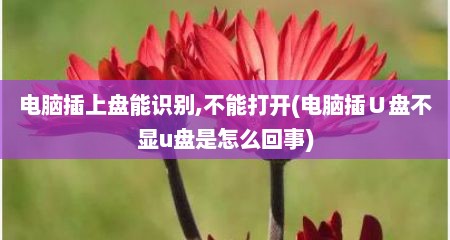 电脑插上盘能识别,不能打开(电脑插∪盘不显u盘是怎么回事)