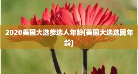 2020美国大选参选人年龄(美国大选选民年龄)