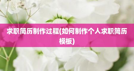 求职简历制作过程(如何制作个人求职简历模板)