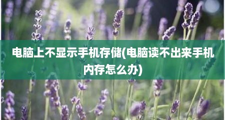 电脑上不显示手机存储(电脑读不出来手机内存怎么办)