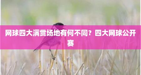 网球四大满贯场地有何不同？四大网球公开赛