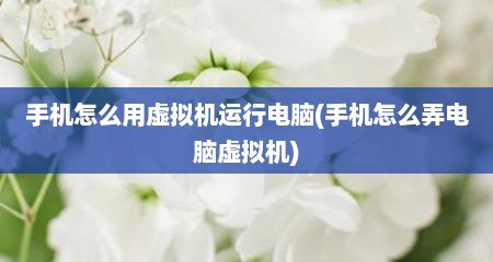 手机怎么用虚拟机运行电脑(手机怎么弄电脑虚拟机)