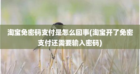 淘宝免密码支付是怎么回事(淘宝开了免密支付还需要输入密码)