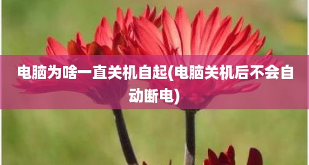 电脑为啥一直关机自起(电脑关机后不会自动断电)