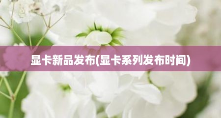 显卡新品发布(显卡系列发布时间)