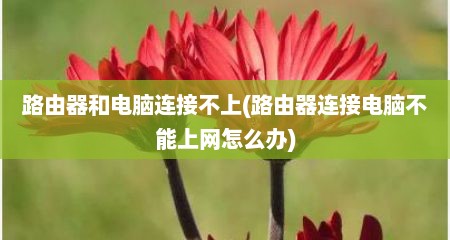 路由器和电脑连接不上(路由器连接电脑不能上网怎么办)