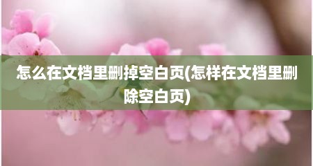 怎么在文档里删掉空白页(怎样在文档里删除空白页)