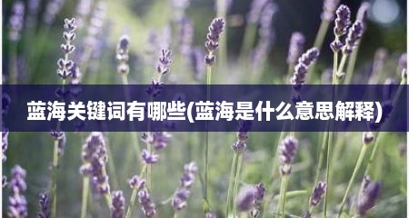 蓝海关键词有哪些(蓝海是什么意思解释)