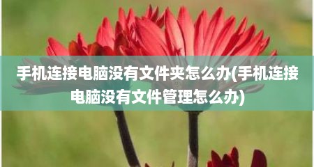 手机连接电脑没有文件夹怎么办(手机连接电脑没有文件管理怎么办)