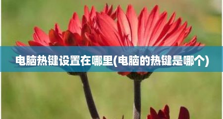 电脑热键设置在哪里(电脑的热键是哪个)