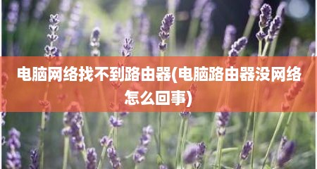 电脑网络找不到路由器(电脑路由器没网络怎么回事)