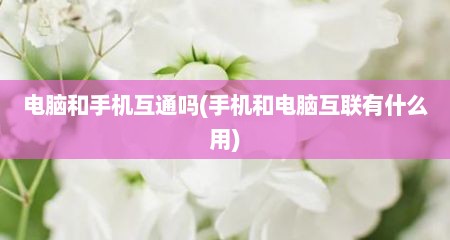 电脑和手机互通吗(手机和电脑互联有什么用)