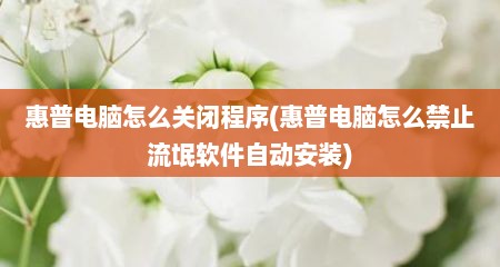 惠普电脑怎么关闭程序(惠普电脑怎么禁止流氓软件自动安装)