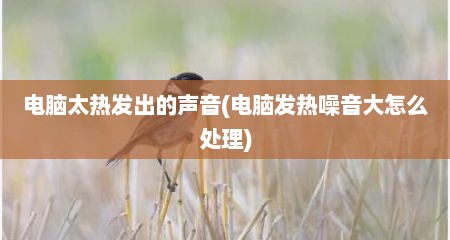 电脑太热发出的声音(电脑发热噪音大怎么处理)