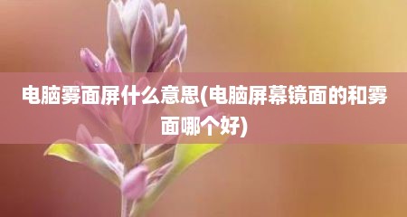 电脑雾面屏什么意思(电脑屏幕镜面的和雾面哪个好)