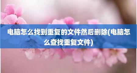 电脑怎么找到重复的文件然后删除(电脑怎么查找重复文件)