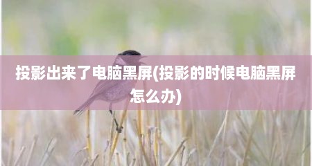 投影出来了电脑黑屏(投影的时候电脑黑屏怎么办)