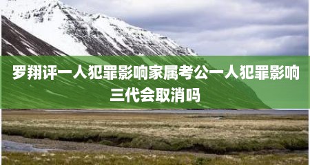 罗翔评一人犯罪影响家属考公一人犯罪影响三代会取消吗