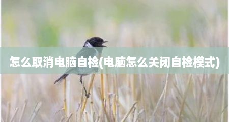 怎么取消电脑自检(电脑怎么关闭自检模式)