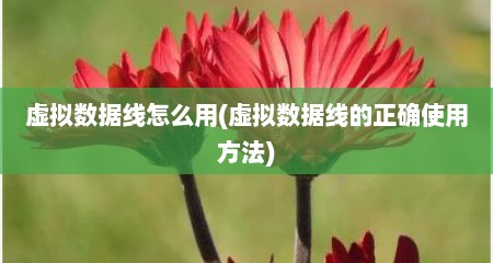 虚拟数据线怎么用(虚拟数据线的正确使用方法)