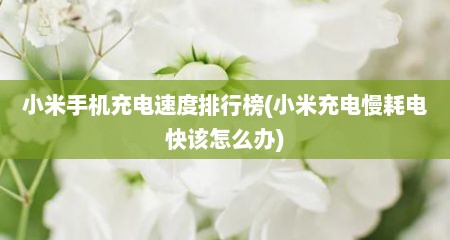 小米手机充电速度排行榜(小米充电慢耗电快该怎么办)