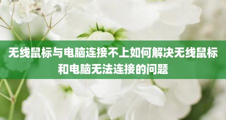 无线鼠标与电脑连接不上如何解决无线鼠标和电脑无法连接的问题