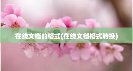 在线文档的格式(在线文档格式转换)