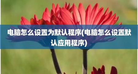 电脑怎么设置为默认程序(电脑怎么设置默认应用程序)