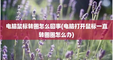 电脑鼠标转圈怎么回事(电脑打开鼠标一直转圈圈怎么办)