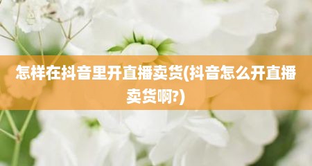 怎样在抖音里开直播卖货(抖音怎么开直播卖货啊?)