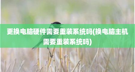 更换电脑硬件需要重装系统吗(换电脑主机需要重装系统吗)