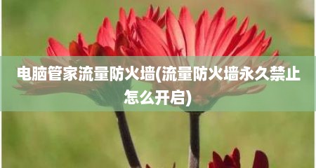 电脑管家流量防火墙(流量防火墙永久禁止怎么开启)