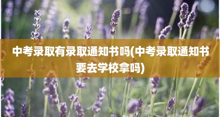 中考录取有录取通知书吗(中考录取通知书要去学校拿吗)