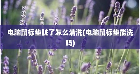 电脑鼠标垫脏了怎么清洗(电脑鼠标垫能洗吗)